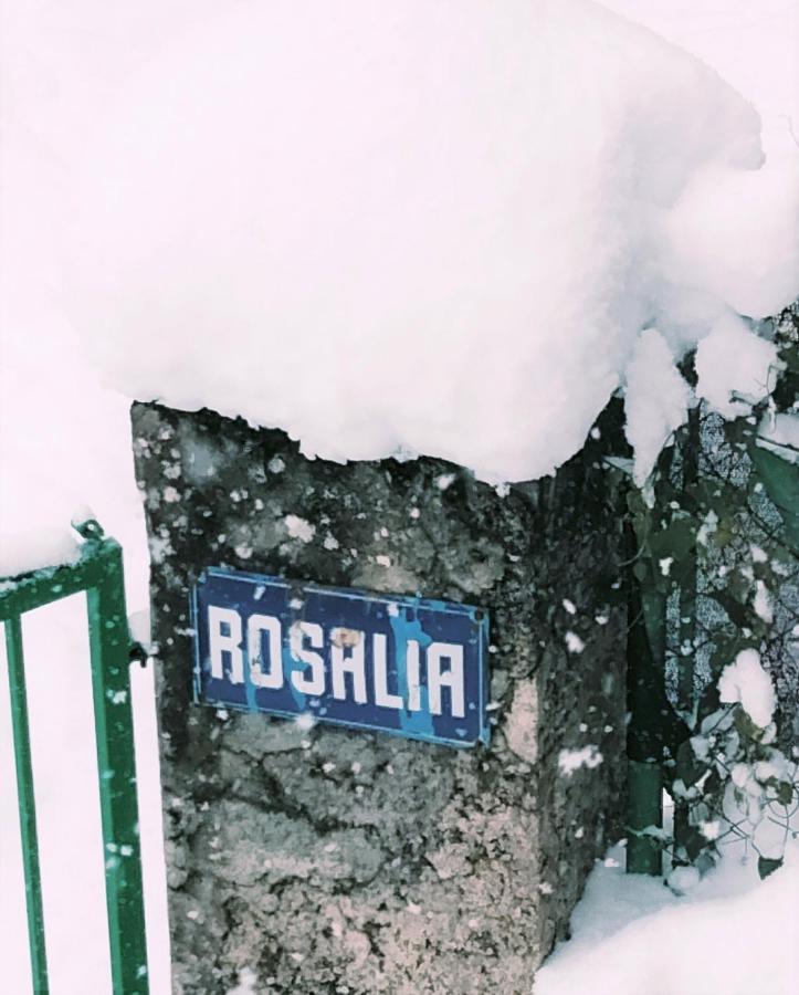 Villa Rosalia วิลยานัว ภายนอก รูปภาพ